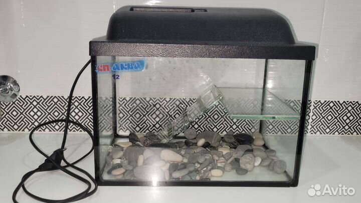 Аквариум террариум