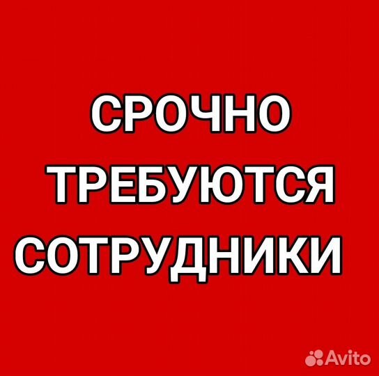 Сборщик интернет заказов Стабильный доход