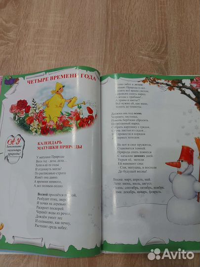 Книга Считарь