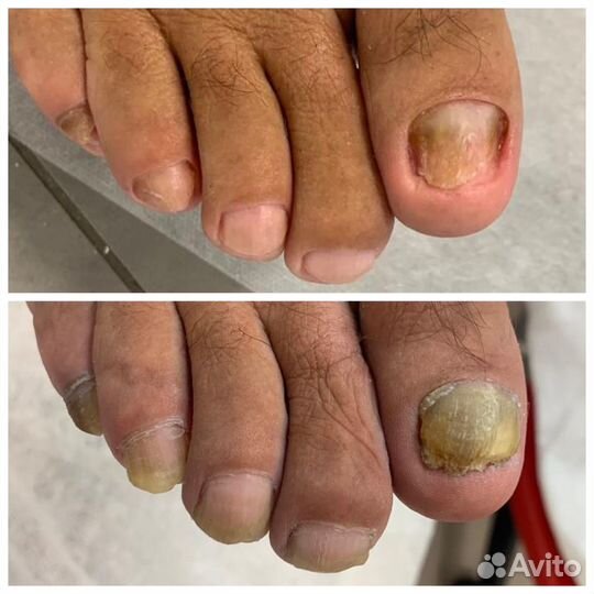 Требуются модели