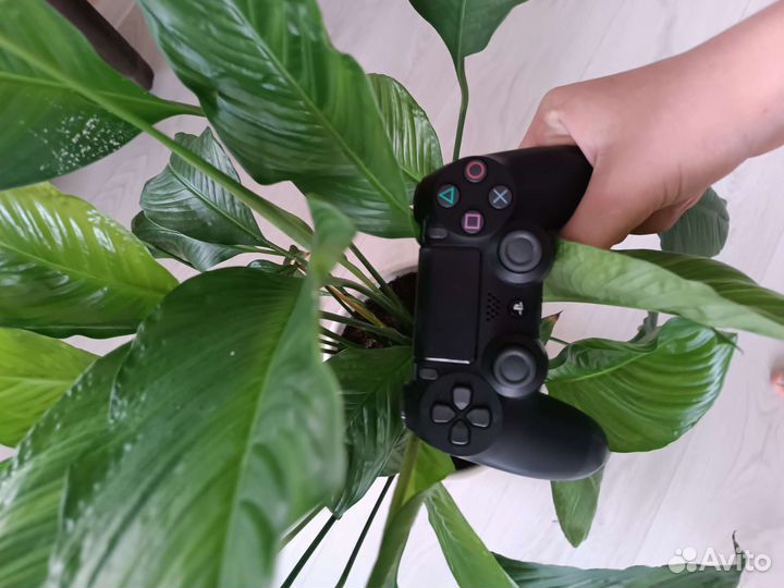 Sony PS4 pro 1tb + игра в подарок