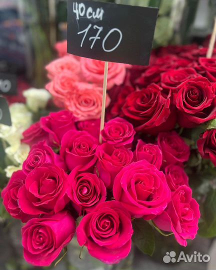 Цветы в мфк Европа сити