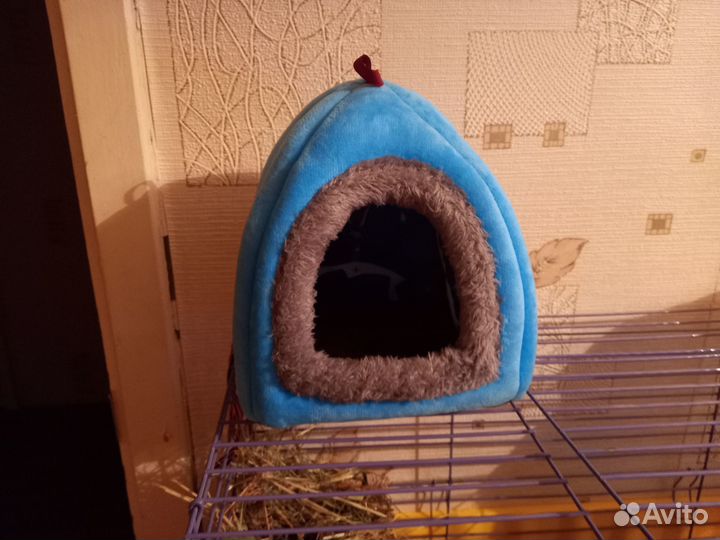 Новый домик для грызунов, морских свинок, шиншил