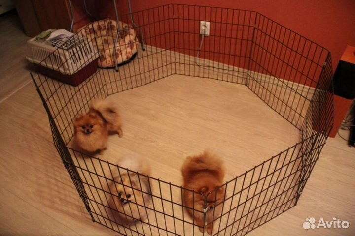 Вольер для собак