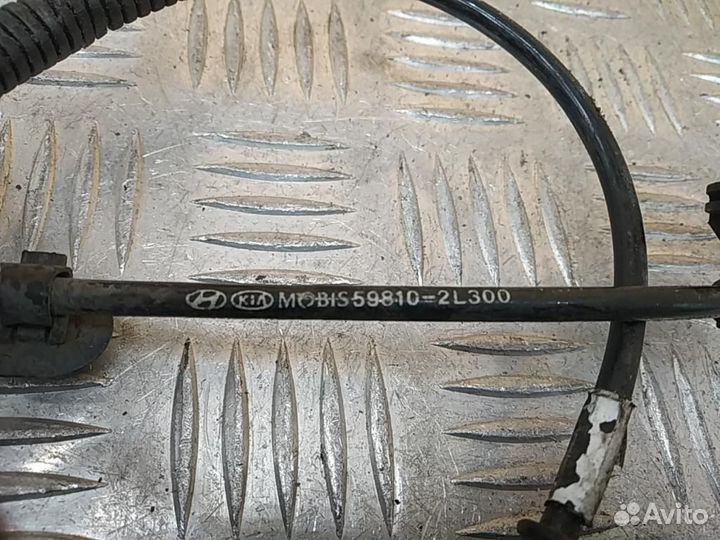 Датчик ABS передний правый Hyundai Elantra