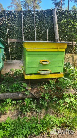 Улей для пчел бу