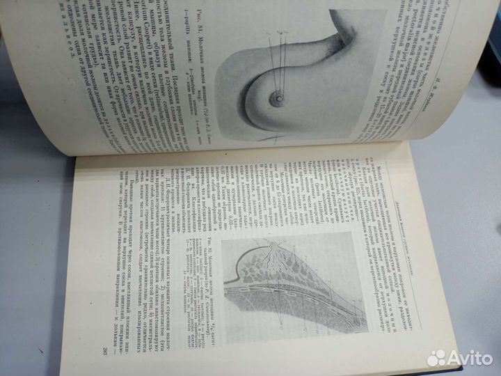 Руководство по акушерству и гинекологии 5 томов