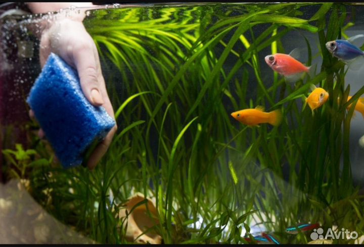 Чистка и обслуживание аквариумов