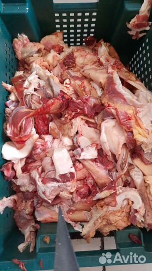 Мясо говядина на корм для животных