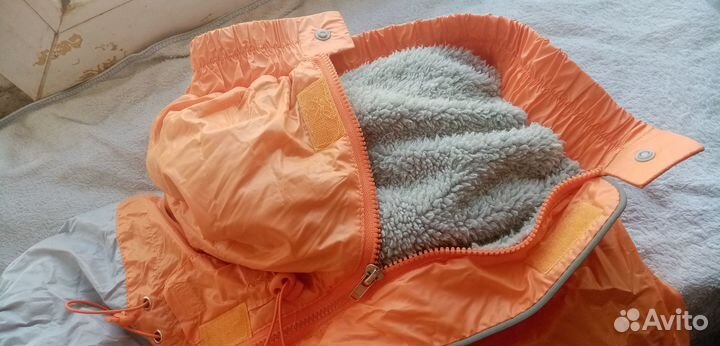 Комбинезон для небольшой собаки ForMyDogs