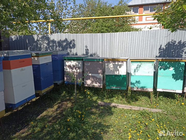 Продам ульи для пчел
