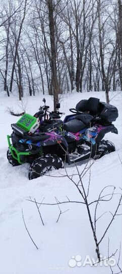 Квадроцикл Stels guepard 850G Trophy PRO EPS