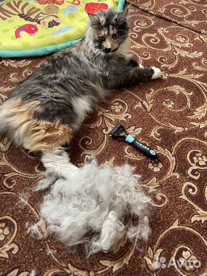 Колтунорез щетка для кошек и собак