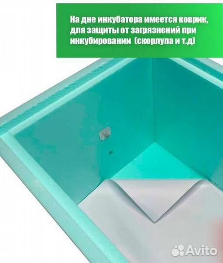 Инкубатор Дели