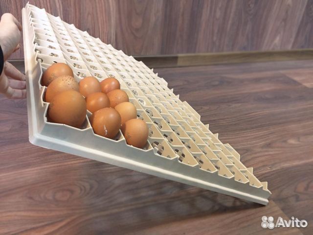 Лоток инкубатора на 150 яиц складская программа
