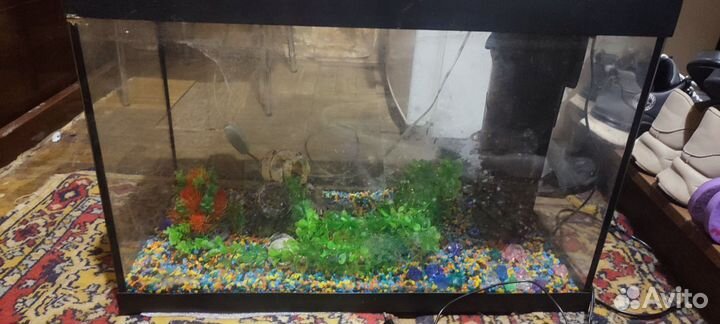 Аквариум 20 литров