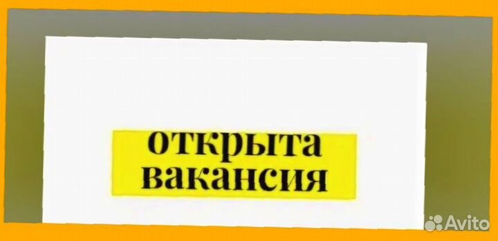 Упаковщик Еженедельные выплаты Без опыта