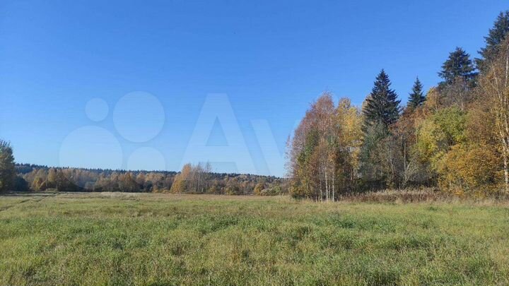 Участок 20 сот. (СНТ, ДНП)