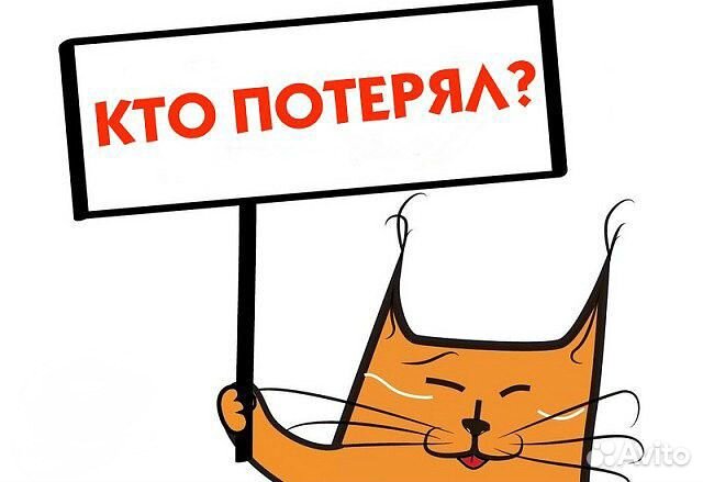 Поиск потерянных вещей металлоискателем