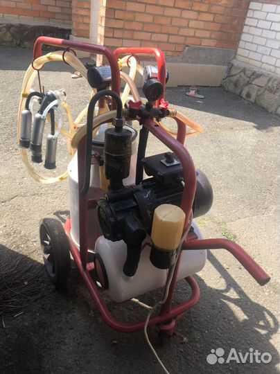 Доильный аппарат для коров