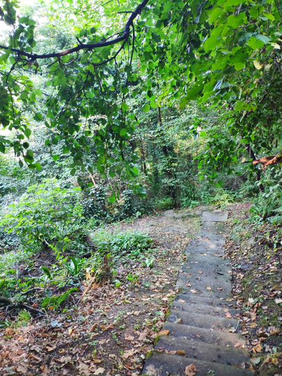 Участок 3,7 сот. (ИЖС)