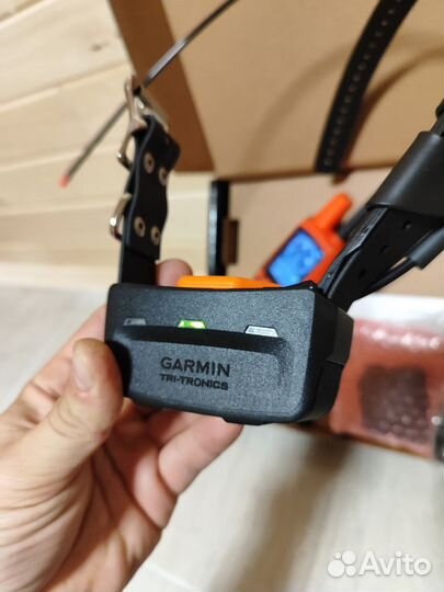 Навигатор Garmin Astro430/Alpha50 и ошейник
