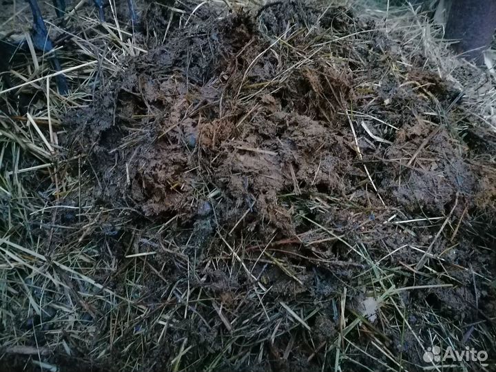 Навоз козий