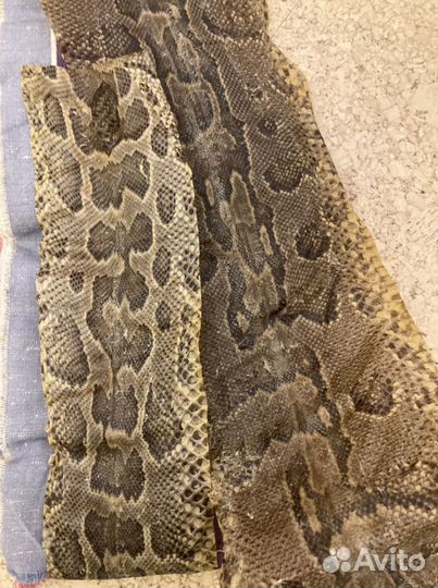 Шкура питона
