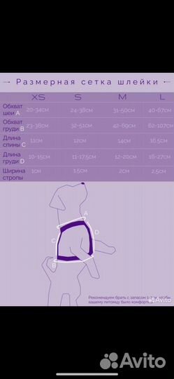 Анатомическая шлейка для собак