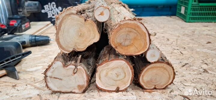 Можжевельник стволы и спилы