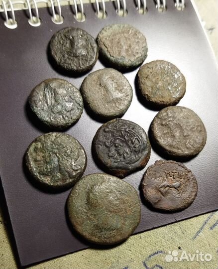 Античные монеты. Пантикапей