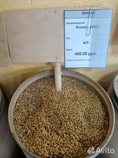 Зерно пшеница ячмень