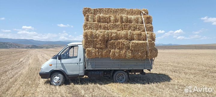 Кузов на газель