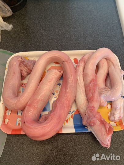 Бычий корень