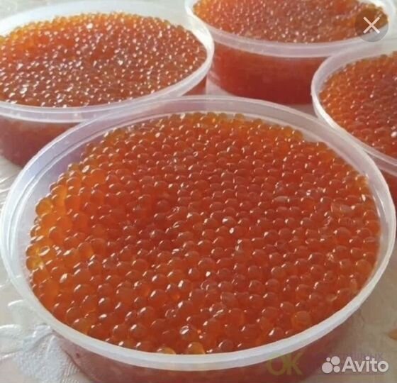 Красная икра оптом
