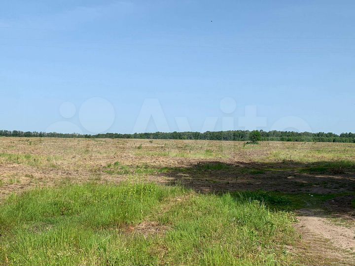 Участок 10 га (СНТ, ДНП)