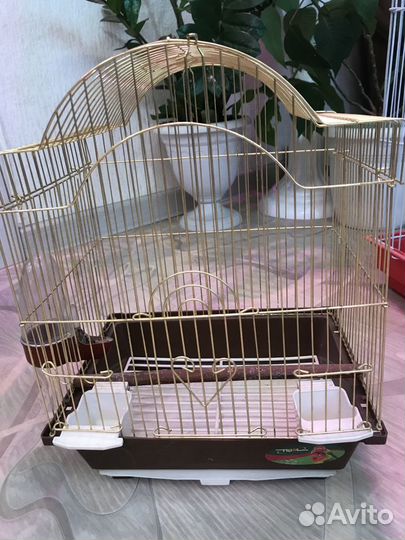 Клетки для птиц разных размеров