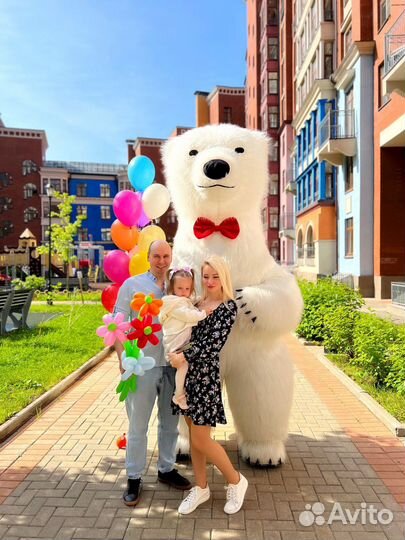 Плюшевые мишки