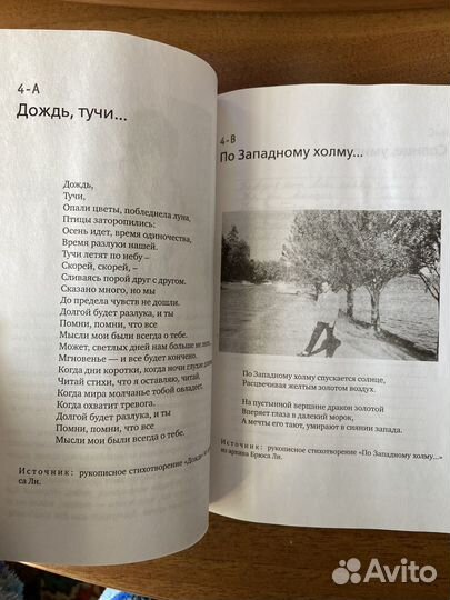 Брюс Ли. Путь совершенства