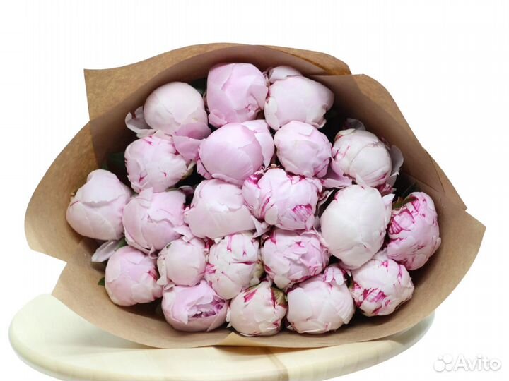 Пионы букет. Доставка бесплатно