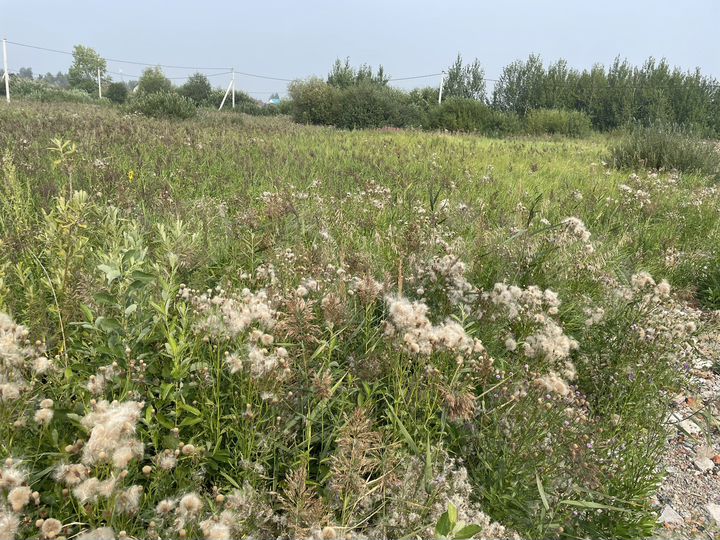 Участок 18,2 сот. (СНТ, ДНП)