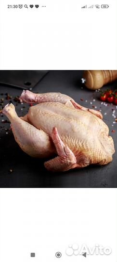 Куры бройлеры тушки мясо