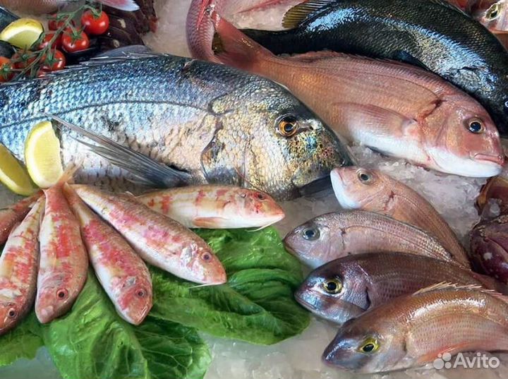 Продается готовый бизнес: морепродукты