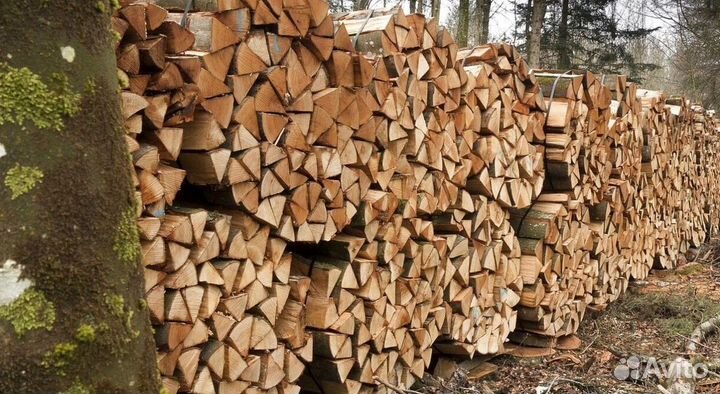Дрова хорошие
