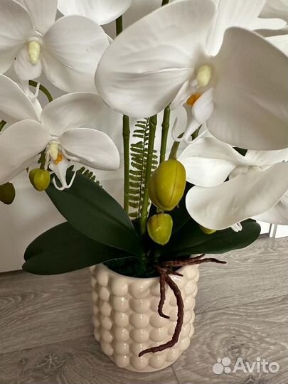 Орхидеи из силикона