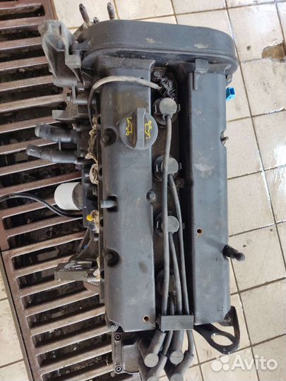 Двигатель Ford focus fusion 2 1.6 100л.с