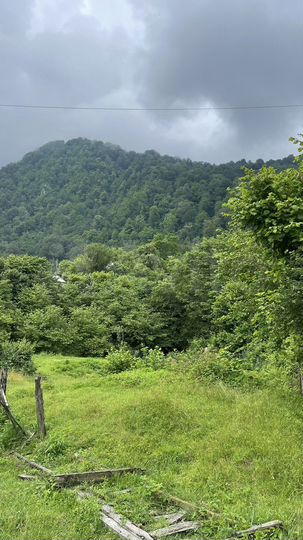 Участок 10 сот. (СНТ, ДНП)