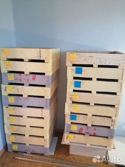 Черви Разведение червя Дендробера Венета