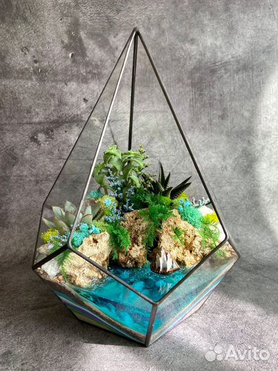 Флорариум суккуленты мох подарок