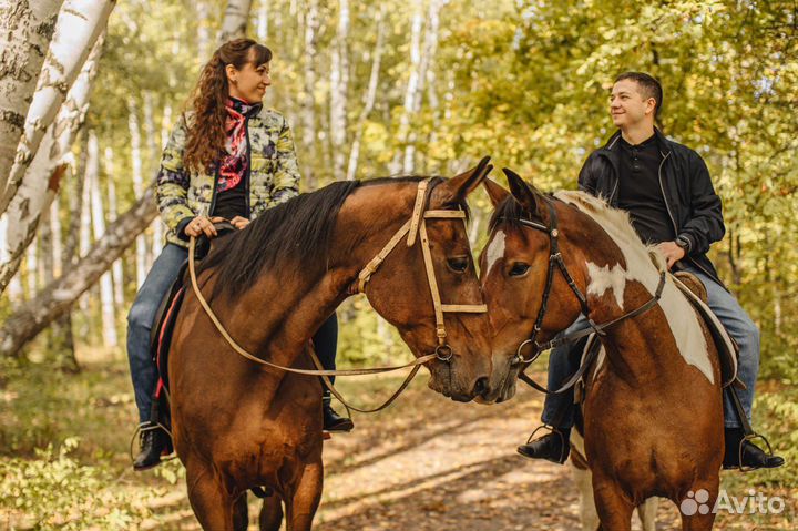 Конные прогулки Саратов